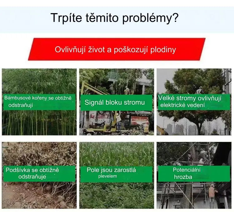 🔥【50% zniżki na nowy sklep】👍🌱Herbicyd cyklozynonowy