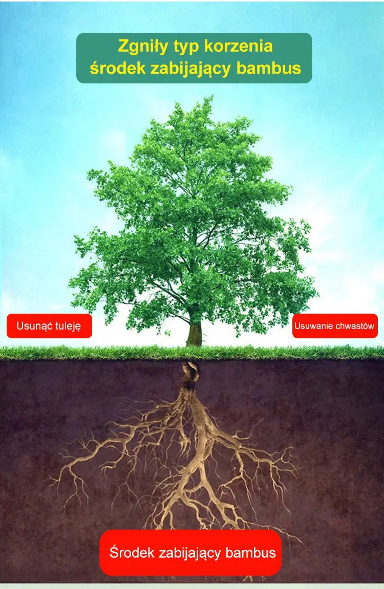 🔥【50% zniżki na nowy sklep】👍🌱Herbicyd cyklozynonowy