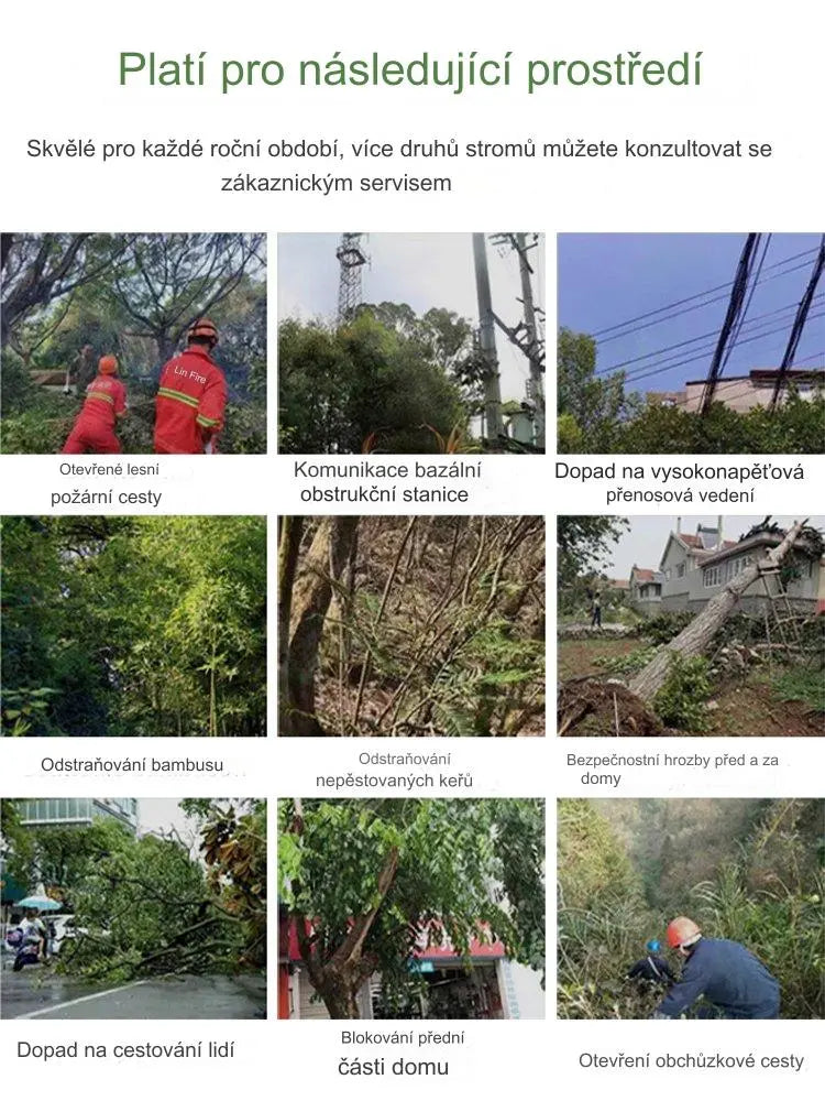 🔥【50% zniżki na nowy sklep】👍🌱Herbicyd cyklozynonowy