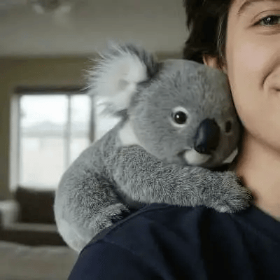 🐨 Koaly – Emocjonalne uzdrawianie na żądanie
