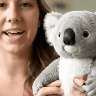 🐨 Koaly – Emocjonalne uzdrawianie na żądanie