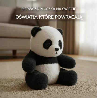 🐨 Koaly – Emocjonalne uzdrawianie na żądanie
