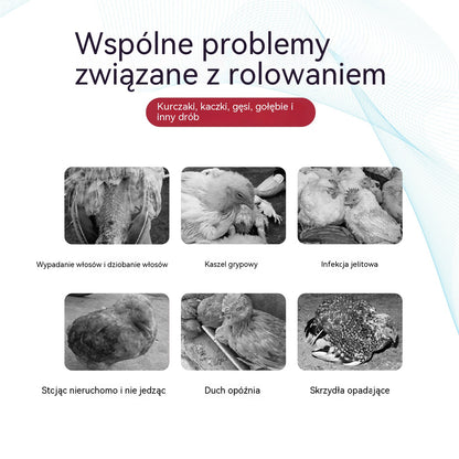 💥【5/10 zestaw butelek】Lek na przeziębienie i biegunkę dla kurczaków, kaczek, gęsi i gołębi