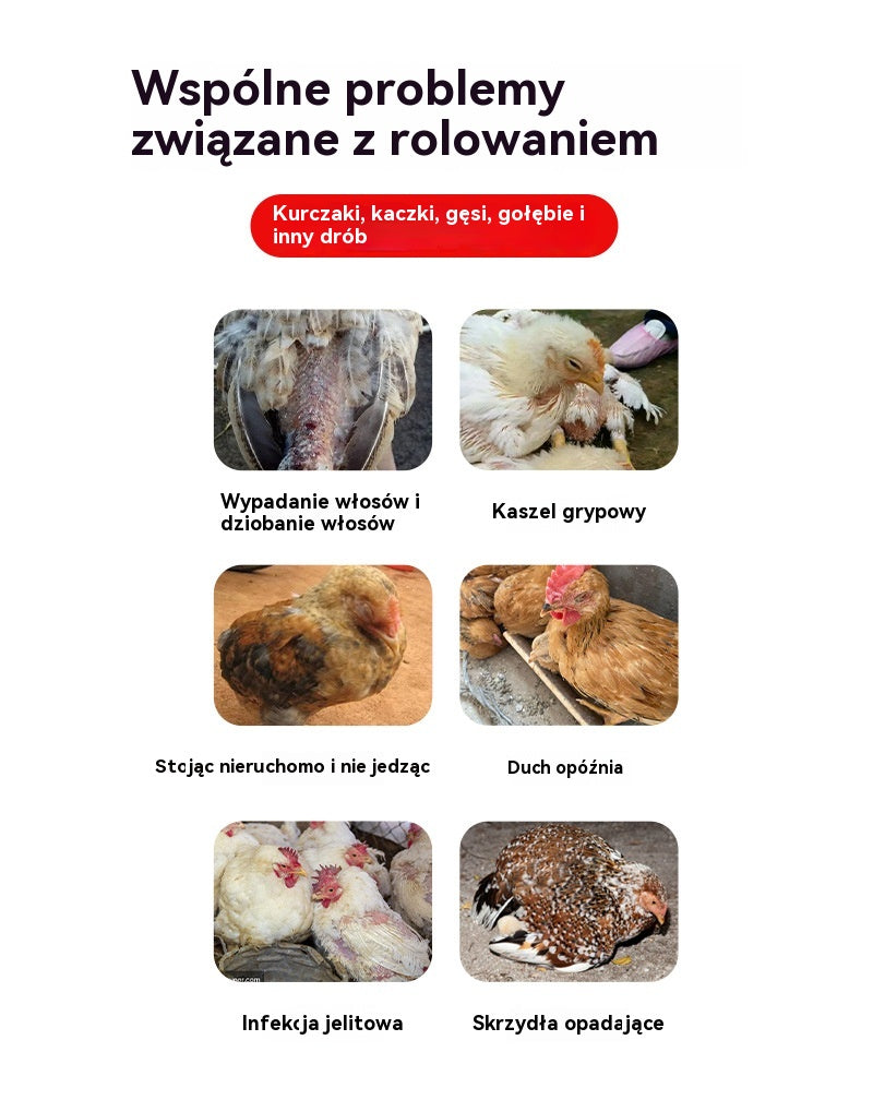 💥【5/10 zestaw butelek】Lek na przeziębienie i biegunkę dla kurczaków, kaczek, gęsi i gołębi